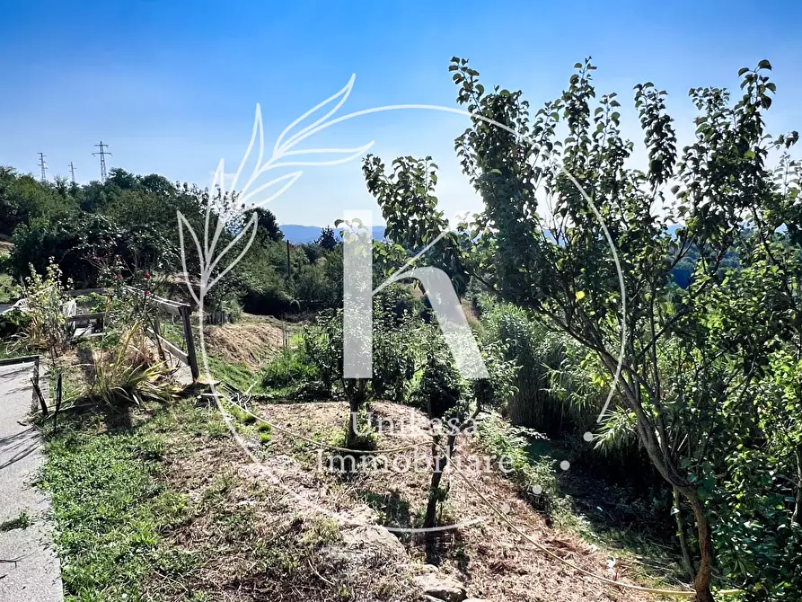 Immagine 27 di Casa semindipendente in vendita  in Località Fornacca a Cosseria