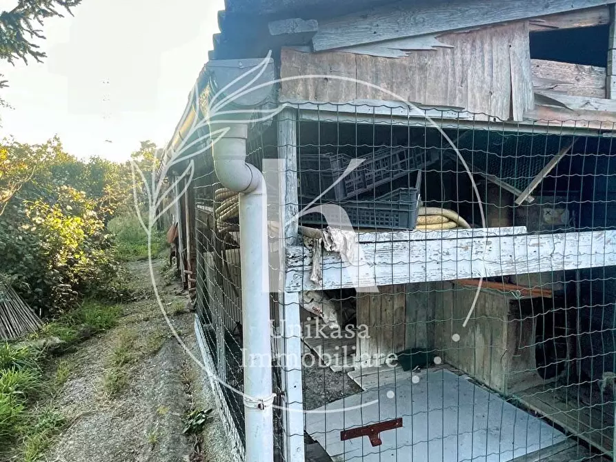 Immagine 37 di Terratetto in vendita  in San Nazario a Savona