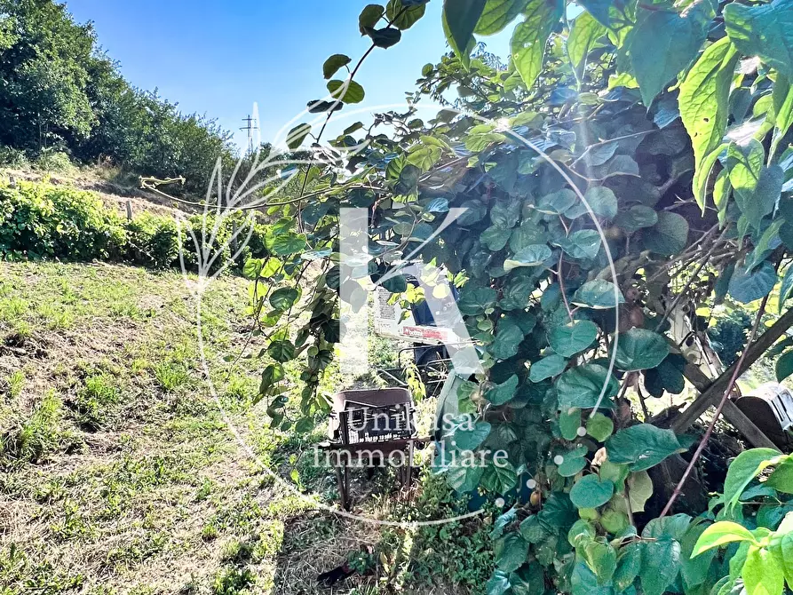 Immagine 31 di Casa semindipendente in vendita  in Località Fornacca a Cosseria