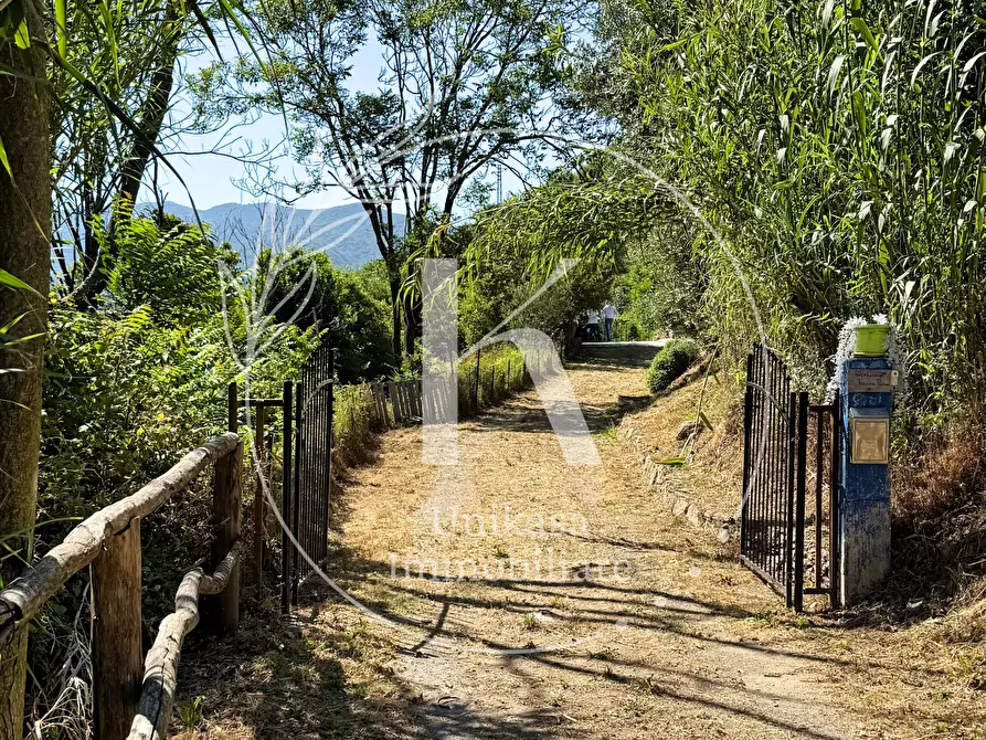 Immagine 6 di Casa indipendente in vendita  in Località Mezzano 22 a Stella
