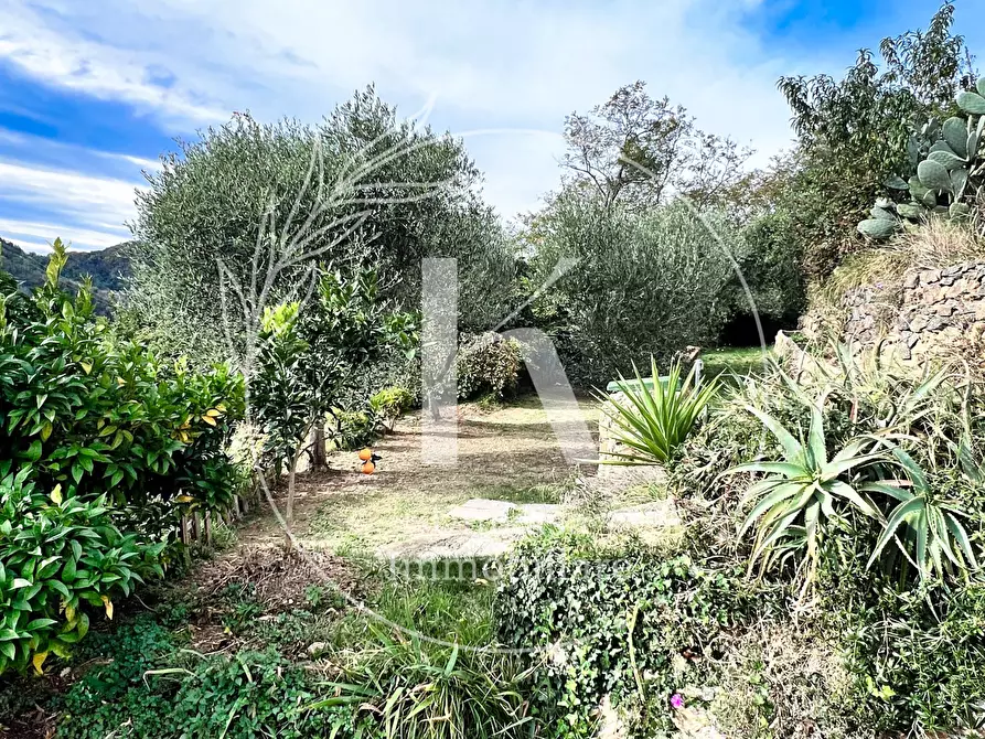 Immagine 15 di Casa indipendente in vendita  in Via Ciantagalletto a Savona