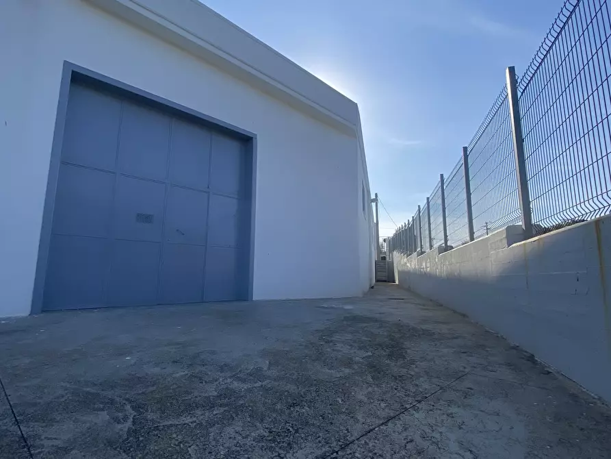 Immagine 11 di Azienda agricola in vendita  in Strada Statale 16 Adriatica 105 a Ostuni