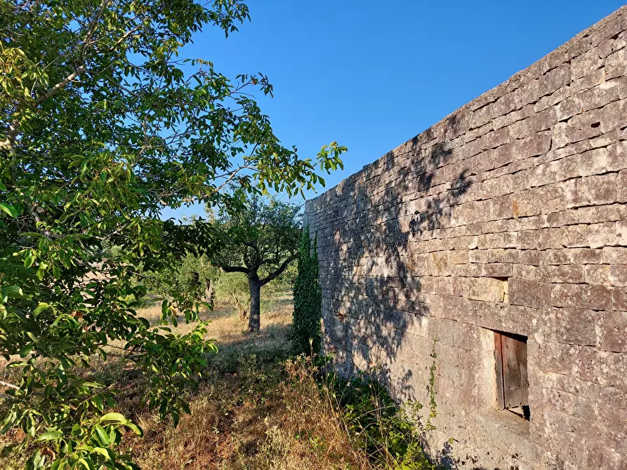 Immagine 22 di Casa indipendente in vendita  in Contrada Panza a Cisternino