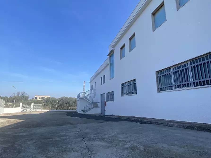 Immagine 12 di Azienda agricola in vendita  in Strada Statale 16 Adriatica 105 a Ostuni