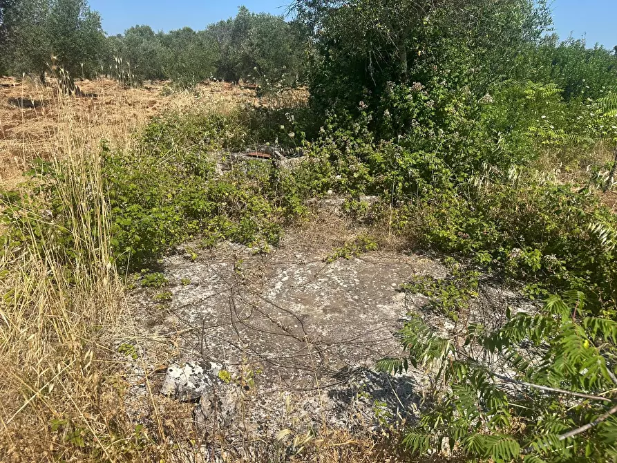 Immagine 22 di Casa indipendente in vendita  in Contrada Galante a Ceglie Messapico