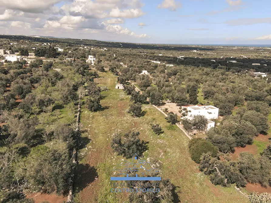 Immagine 6 di Terreno edificabile in vendita  in contrada sierri a Carovigno