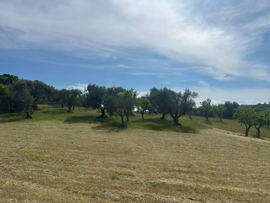 Immagine 9 di Rustico / casale in vendita  in Strada Provinciale 17 a Ostuni