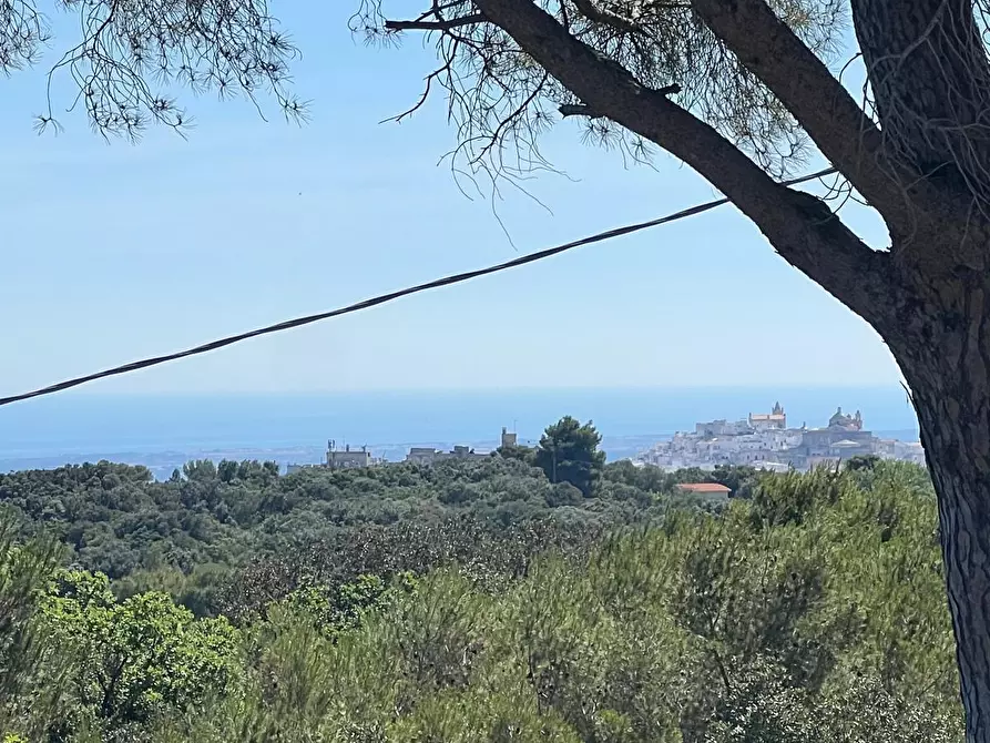 Immagine 2 di Villa in vendita  in Strada Provinciale 17 SNC a Ostuni