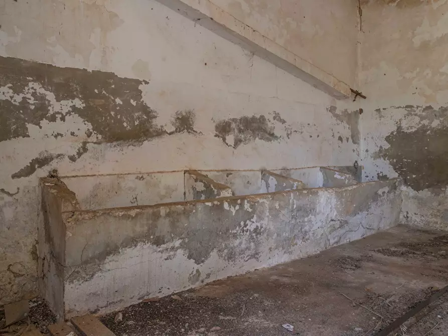 Immagine 11 di Rustico / casale in vendita  in Contrada San Francesco a Carovigno