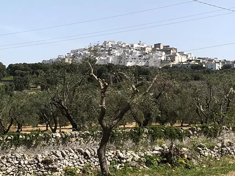 Immagine 1 di Casa indipendente in vendita  in Contrada Malandrino a Ostuni