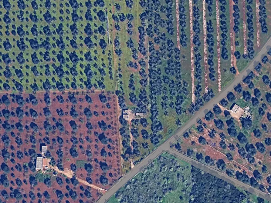 Immagine 16 di Casa indipendente in vendita  in Strada Provinciale ex SS 581 a Ceglie Messapico