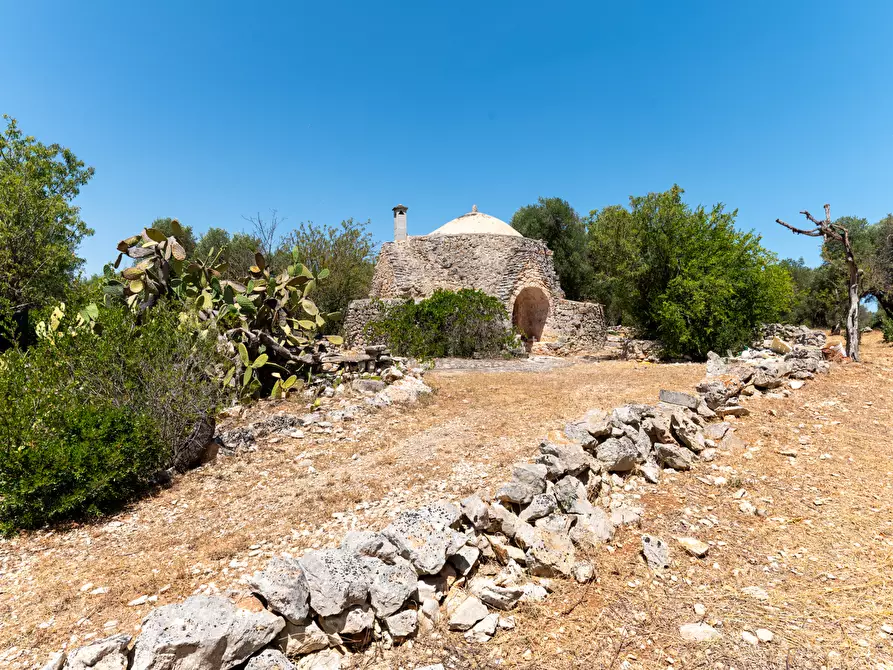 Immagine 15 di Casa indipendente in vendita  in Strada Provinciale 29 a Ostuni