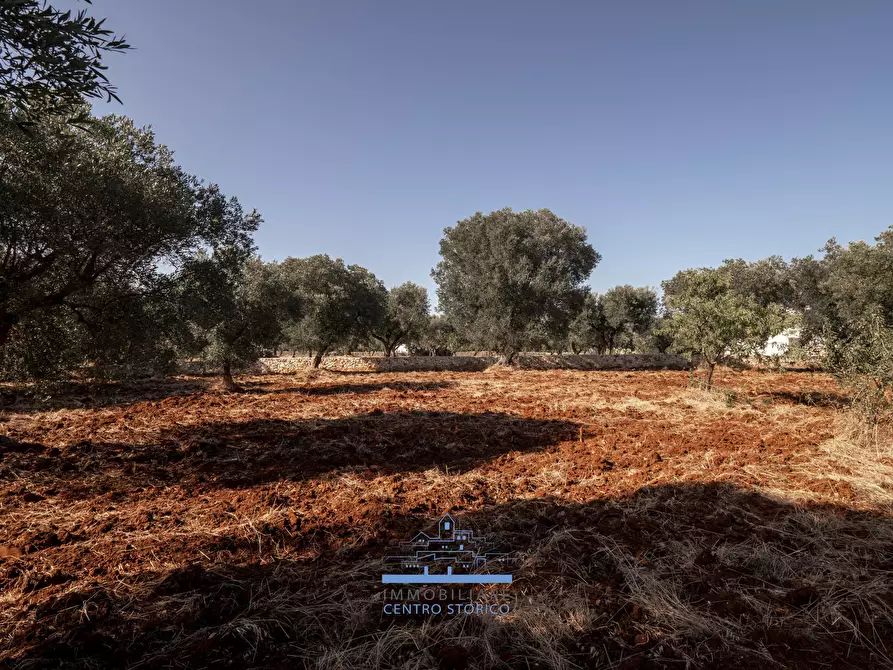 Immagine 13 di Casa indipendente in vendita  in Contrada Tamburroni a Ostuni