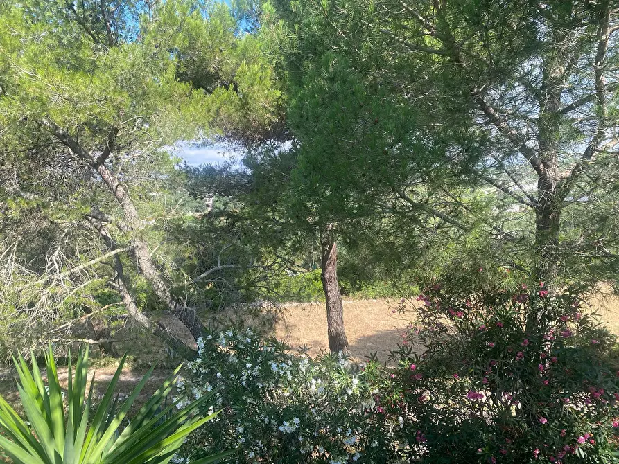 Immagine 9 di Rustico / casale in vendita  in contrada cervarolo a Ostuni