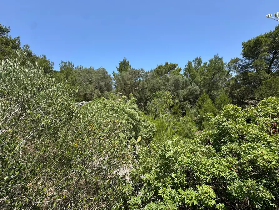 Immagine 23 di Casa indipendente in vendita  in santuario san biagio a Ostuni