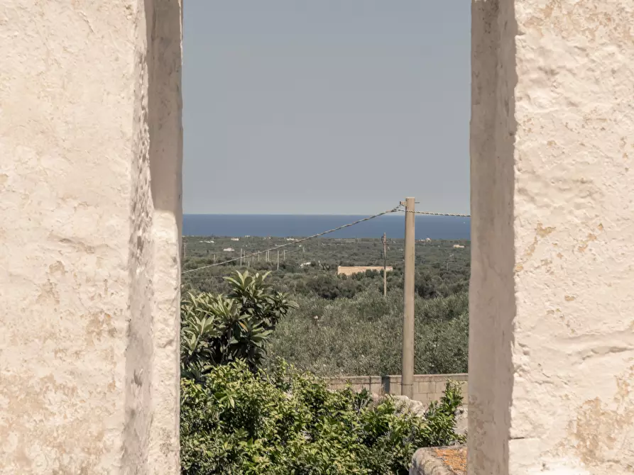 Immagine 32 di Rustico / casale in vendita  a Ostuni