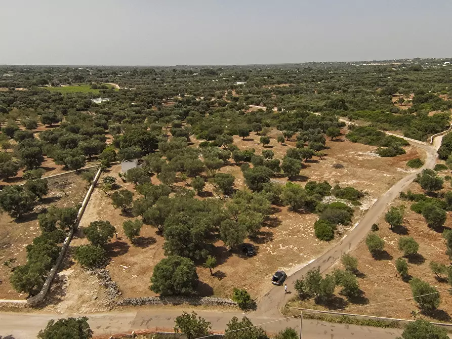 Immagine 1 di Terreno edificabile in vendita  in contrada acciano a Carovigno