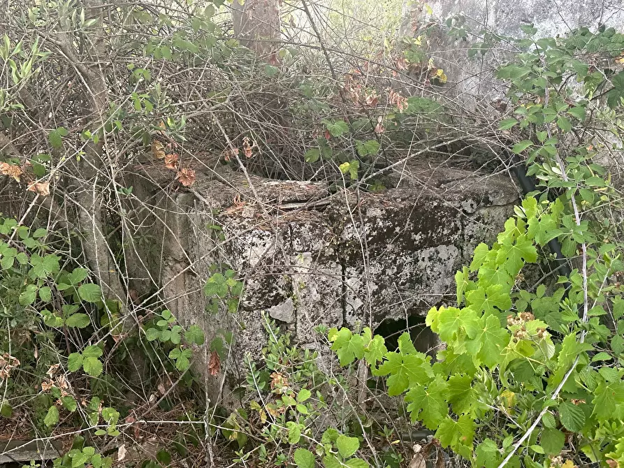 Immagine 14 di Casa indipendente in vendita  in Strada Provinciale 29 a Ostuni