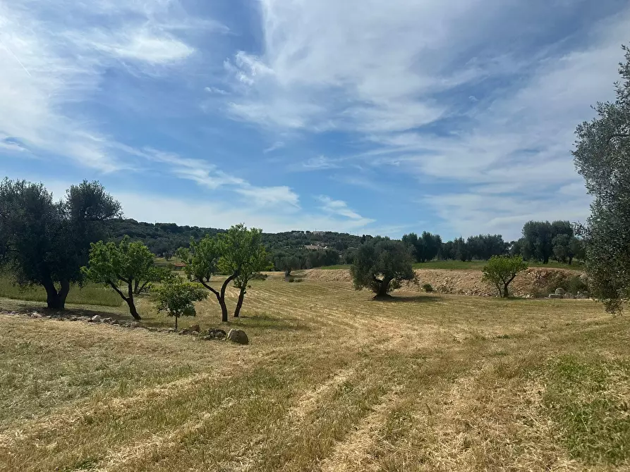 Immagine 13 di Rustico / casale in vendita  in Strada Provinciale 17 a Ostuni