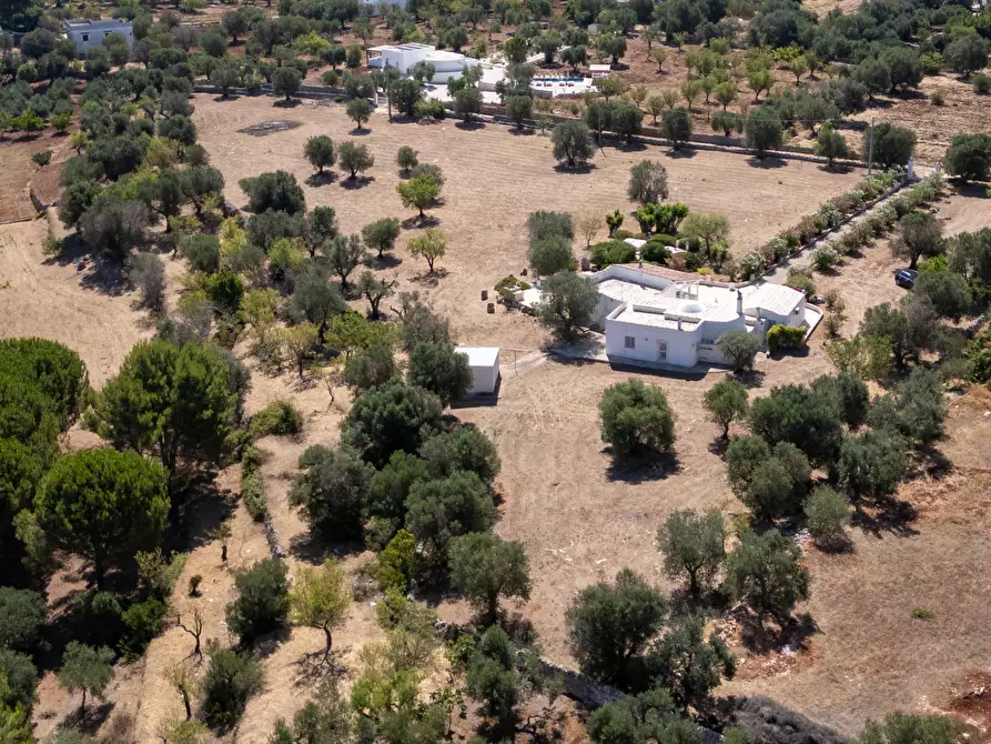 Immagine 25 di Villa in vendita  in contrada san benedetto a Ostuni