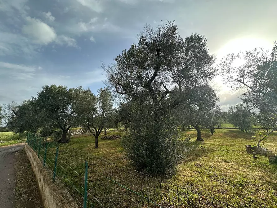 Immagine 11 di Villa in vendita  in Strada Provinciale 28 a Ostuni