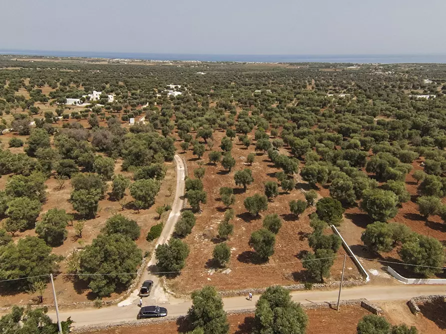 Immagine 1 di Terreno edificabile in vendita  in Contrada Specchia a Carovigno