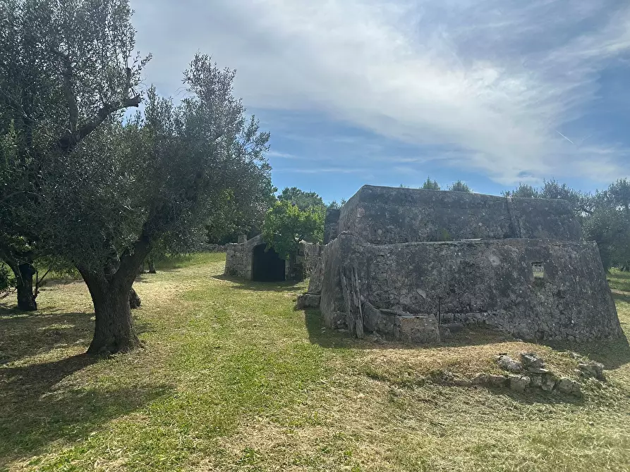 Immagine 11 di Rustico / casale in vendita  in Strada Provinciale 17 a Ostuni