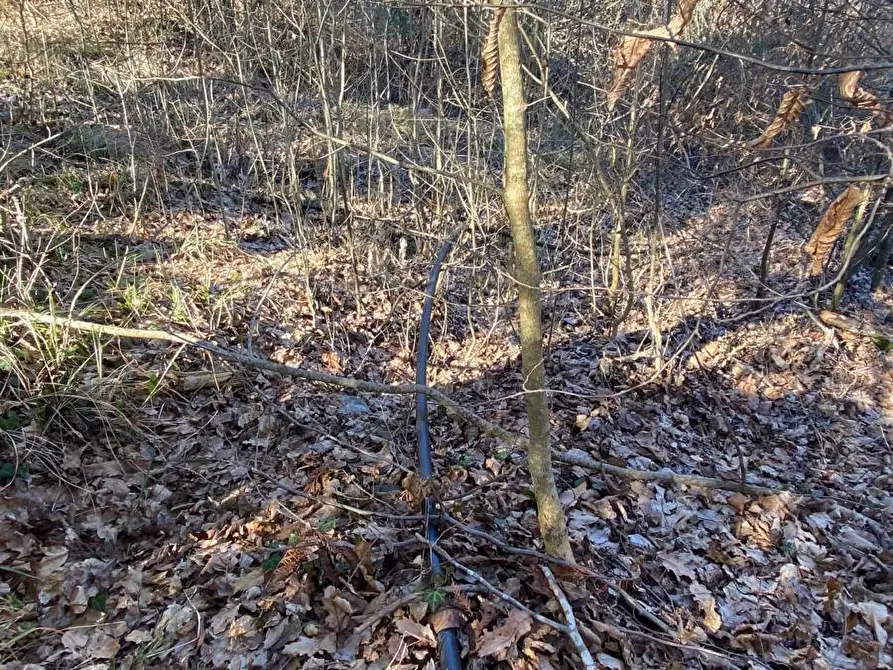 Immagine 25 di Rustico / casale in vendita  in Via Case Sparse Badia 19A a Tiglieto