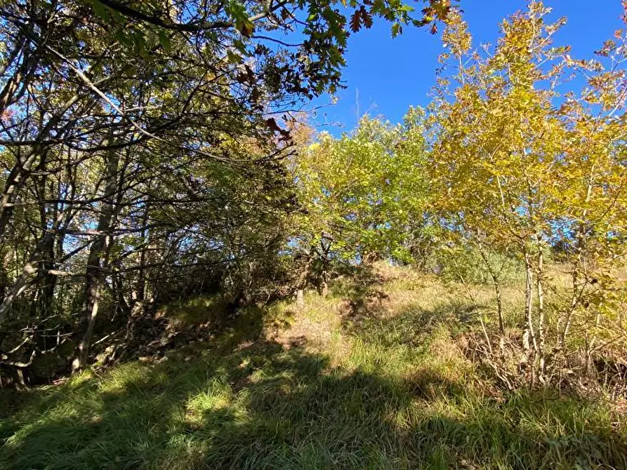 Immagine 6 di Rustico / casale in vendita  in Loc Ormei a Ponzone