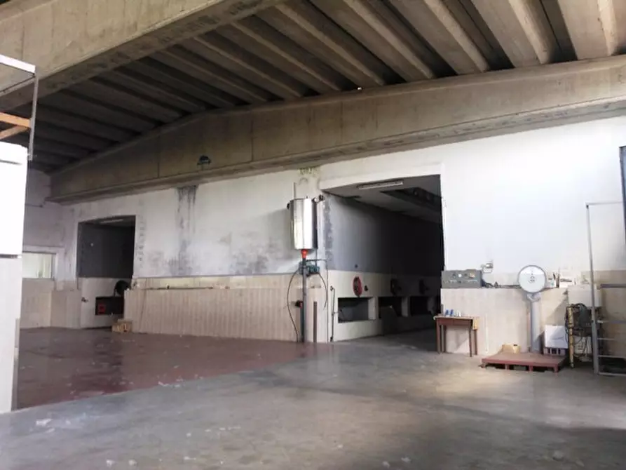Immagine 3 di Attività artigianale in vendita  a Bistagno