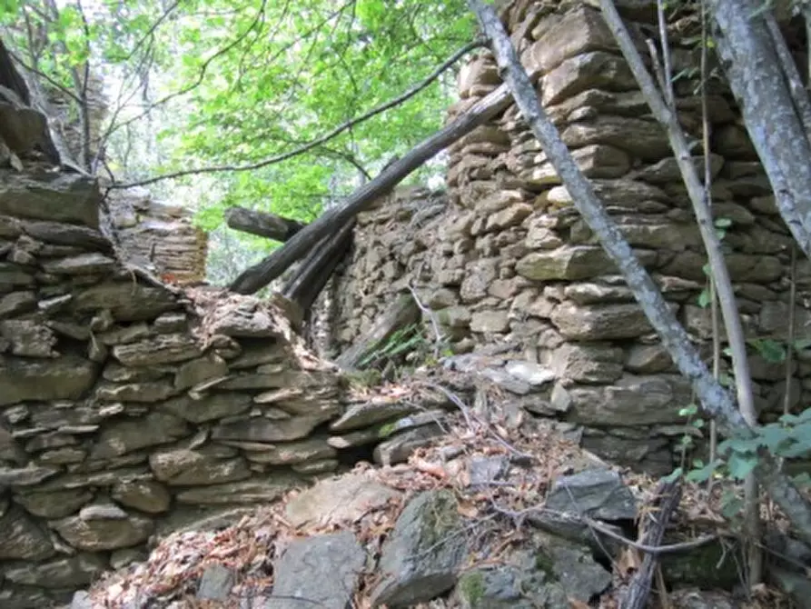Immagine 8 di Terreno agricolo in vendita  a Sassello