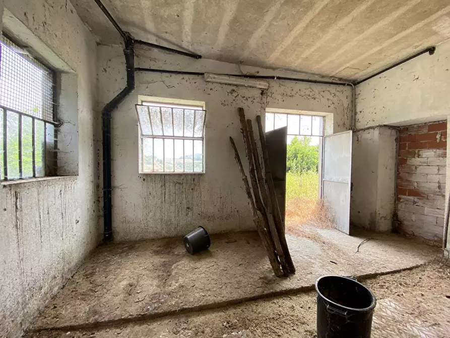 Immagine 29 di Casa bifamiliare in vendita  in Viale Federico Anselmino 33 a Spigno Monferrato