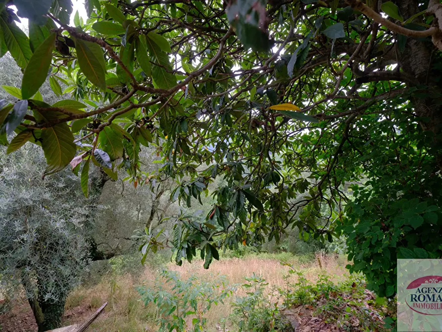 Immagine 28 di Rustico / casale in vendita  in Via Pero 112 a Varazze