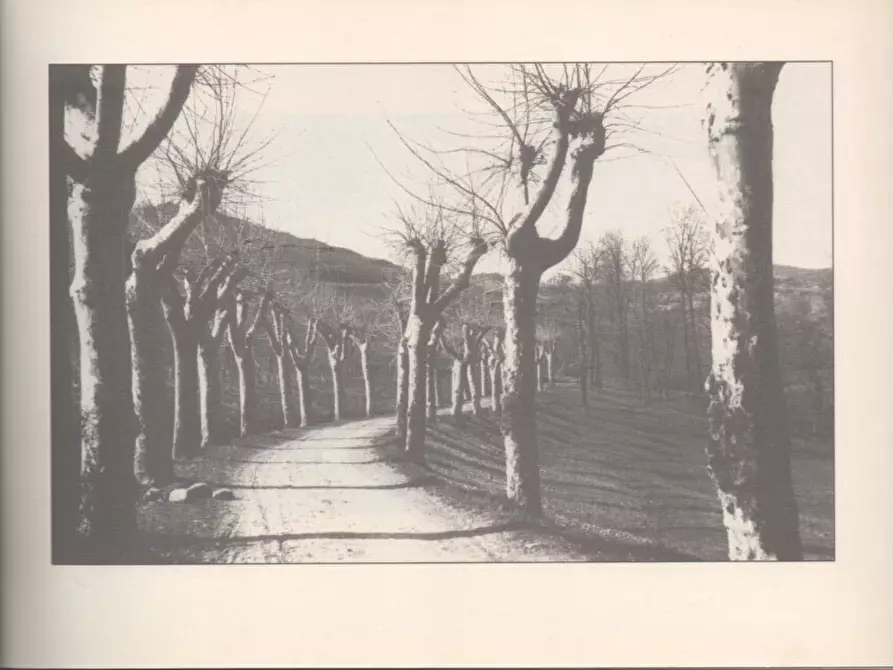 Immagine 63 di Casa indipendente in vendita  a Molare