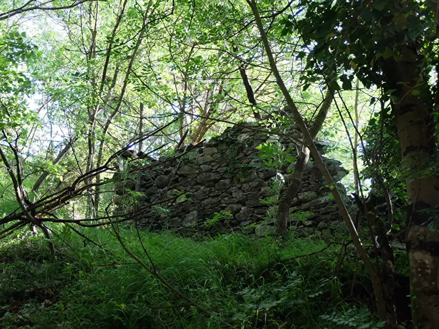 Immagine 7 di Rustico / casale in vendita  in Unnamed Road 13b a Sassello