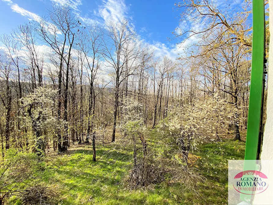 Immagine 8 di Rustico / casale in vendita  in Via Marasca 28 a Urbe