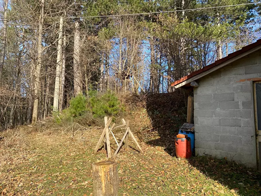 Immagine 38 di Casa indipendente in vendita  a Urbe