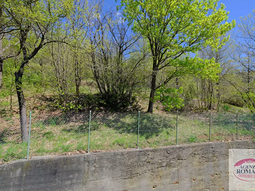 Immagine 19 di Terratetto in vendita  a Pontinvrea