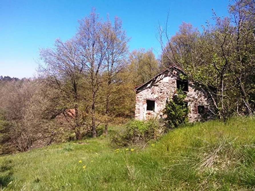 Immagine 11 di Rustico / casale in vendita  a Giusvalla