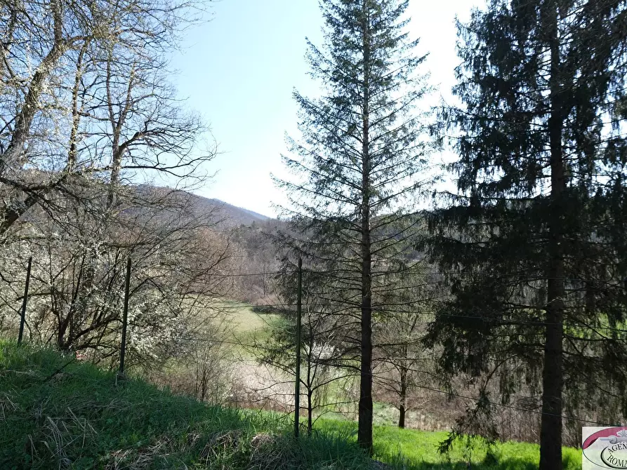 Immagine 9 di Rustico / casale in vendita  in SP216 6 a Pareto
