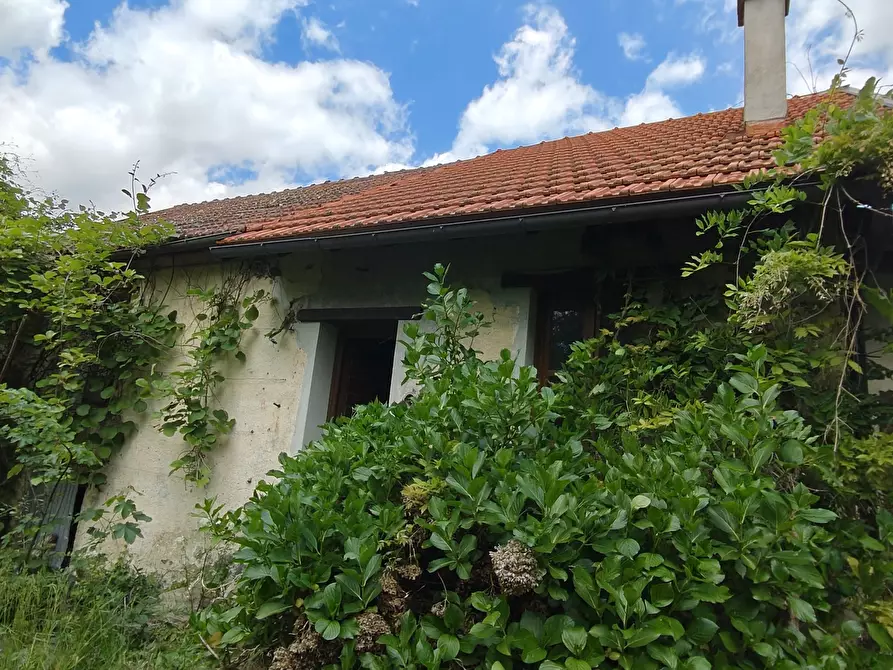 Immagine 8 di Rustico / casale in vendita  in SP53 65 a Urbe