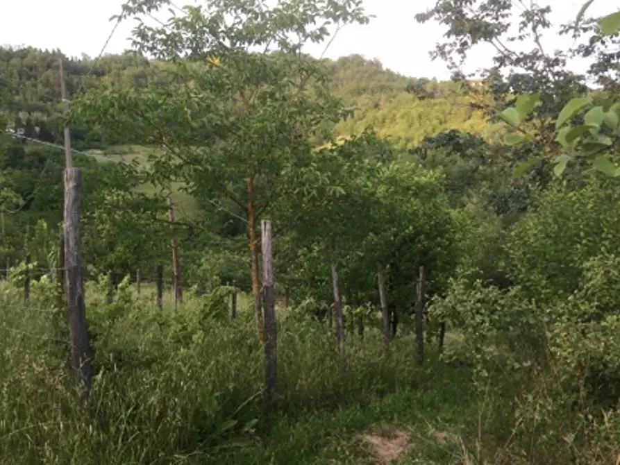 Immagine 45 di Appartamento in vendita  in via piazze 1 a Cremolino