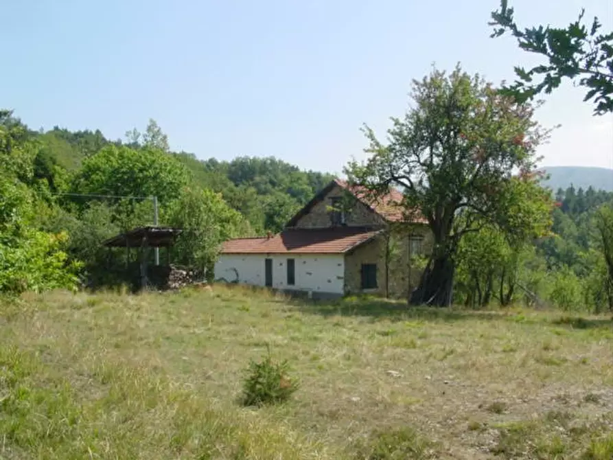 Immagine 8 di Rustico / casale in vendita  a Sassello