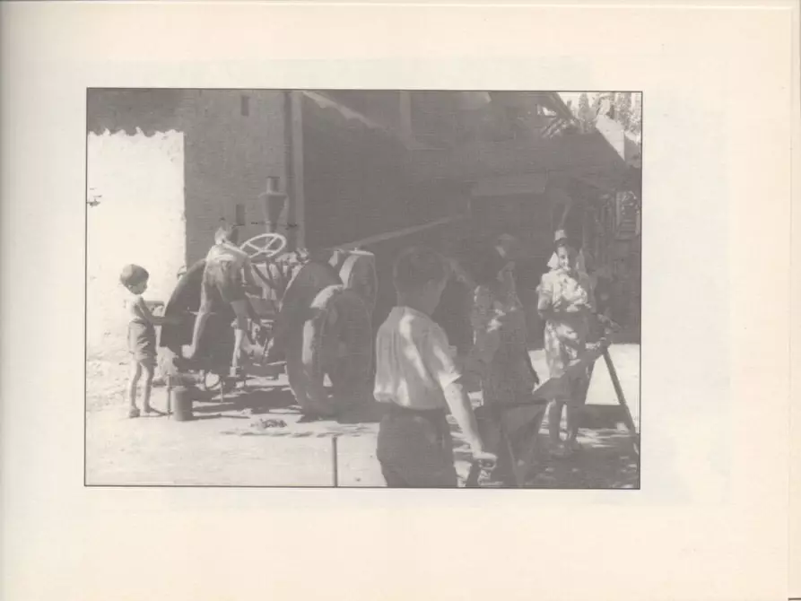 Immagine 53 di Casa indipendente in vendita  a Molare