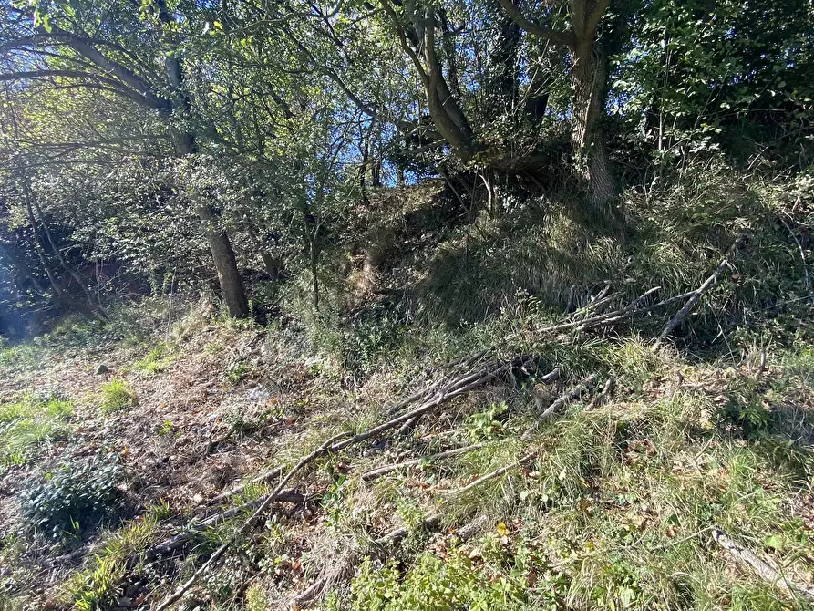 Immagine 18 di Terratetto in vendita  a Dego