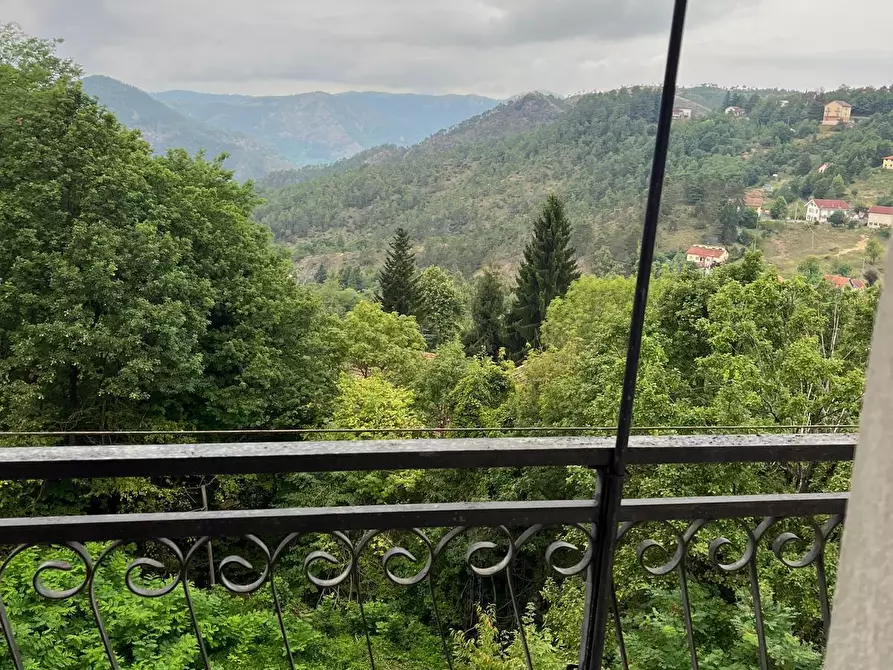 Immagine 3 di Trilocale in vendita  a Tiglieto