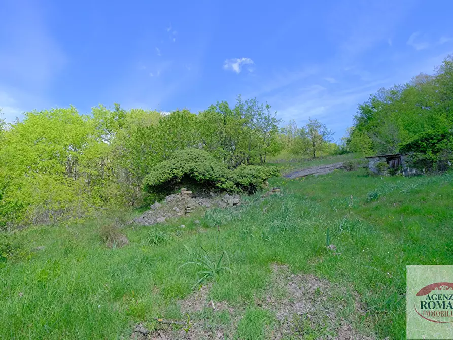 Immagine 5 di Rustico / casale in vendita  in Corso Bovio 2 a Giusvalla