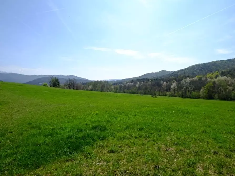 Immagine 5 di Terreno edificabile in vendita  a Mioglia