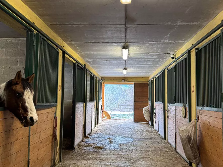 Immagine 45 di Casa indipendente in vendita  in Strada Provinciale 32 6 a Pontinvrea