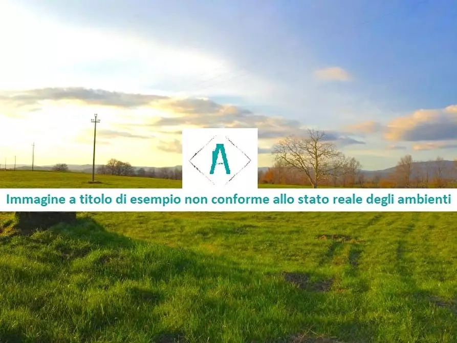 Immagine 4 di Terreno edificabile in vendita  in Strada Provinciale 59 snc a Vallecrosia